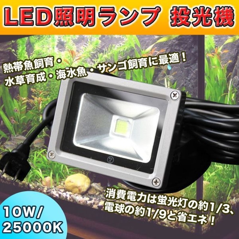 高輝度 Led 照明 ランプ k 10w サンゴ 水草 熱帯魚 海水魚 飼育 アクアリウム 水槽 投光器 防水 100v 通販 Lineポイント最大0 5 Get Lineショッピング