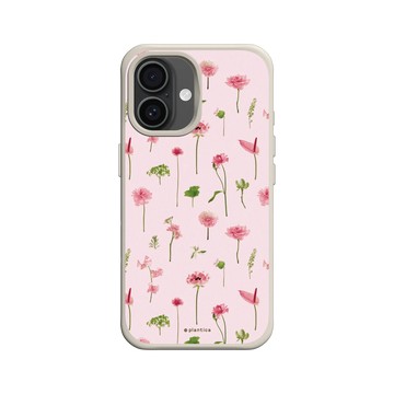 iPhone 16 SolidX 貝殼灰 - Plantica - 植萃 – 初春