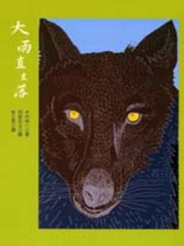 大雨直直落[二手書_良好]