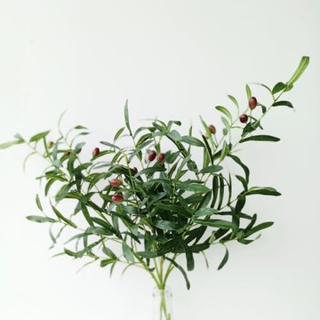 北歐橄欖枝仿真花束假花臥室客廳裝飾花擺件橄欖果插花搭配