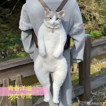 台灣公司貨 免運 日本網紅款仿真動物貓咪公仔背包潮流雙肩包大容量毛絨玩偶正品 快速發貨