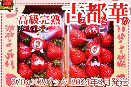 いちご好きのためのいちご 奈良県ブランドいちご 「古都華（ことか）」2024年3月発送   奈良県広陵町の大人気フルーツ冬の味覚の苺 先行予約   いちご イチゴ 苺