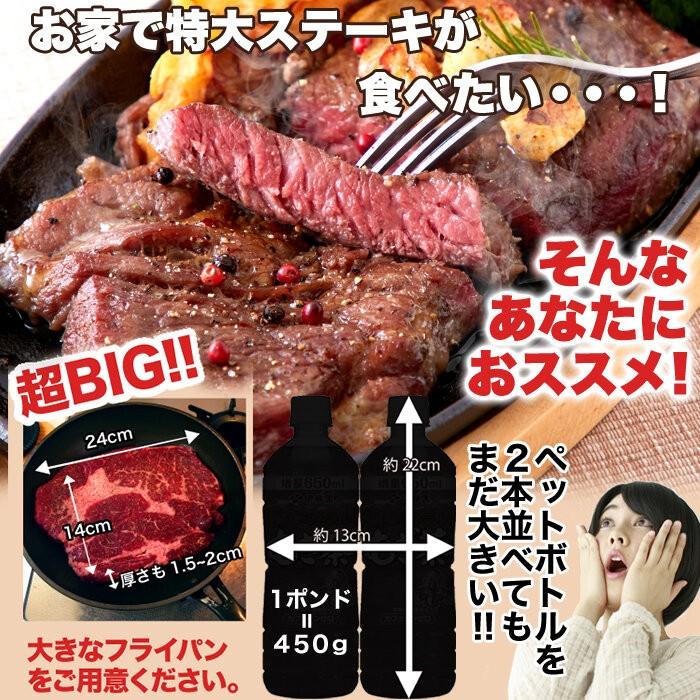 牛肩ロース 熟成肉 1ポンド ステーキ(450g) 冷凍
