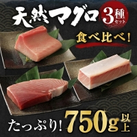 厳選 天然 マグロ ３種 セット７５０ｇ以上 南マグロ メバチマグロ ビンチョウマグロ 冷凍 海鮮 丼