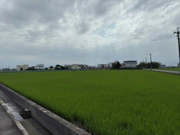 壯圍鄉中興段大面寬千坪足坪漂亮農地｜宜蘭縣壯圍鄉中興段