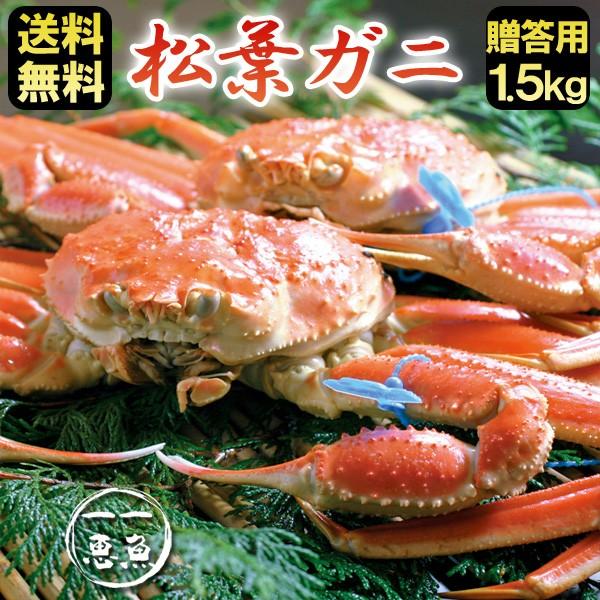 松葉ガニ 約1.5kg（1〜2杯） ギフト 津居山・柴山・浜坂産 産地直送 送料無料