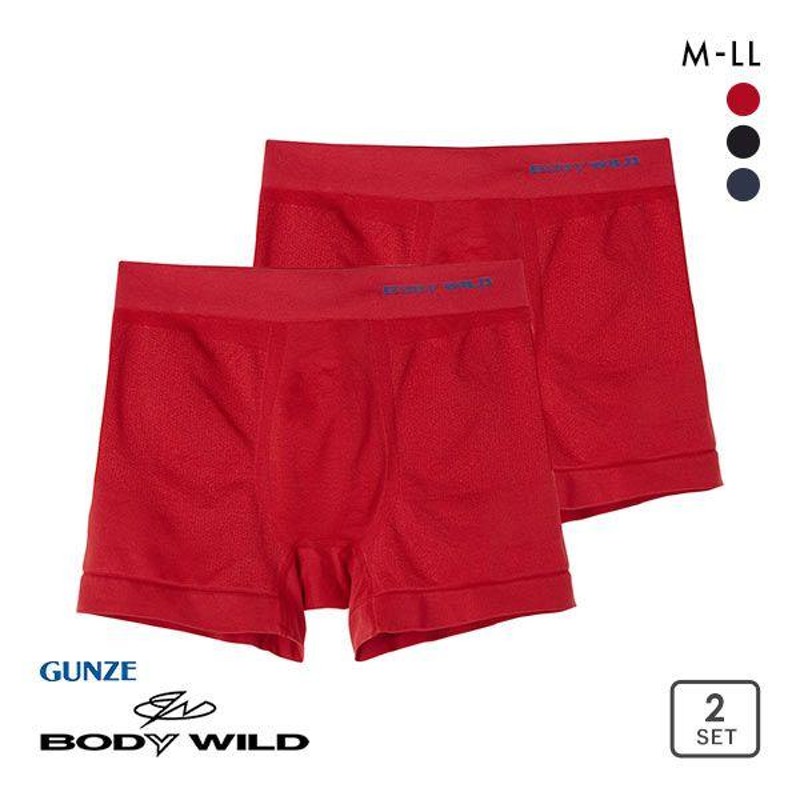 グンゼ GUNZE ボディワイルド BODY WILD ボクサーパンツ 3D-BOXER 立体成型 メッシュ BWS872J 二枚組 日本製 |  LINEブランドカタログ