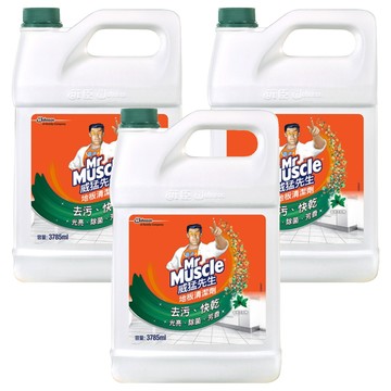 Mr Muscle 威猛先生 地板清潔劑 森林芬多精  3.785L  3桶
