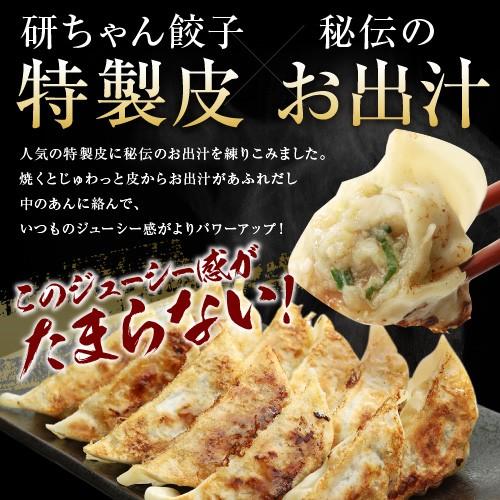 餃子 取り寄せ 送料無料 業務用 冷凍 生餃子 国産素材 時短 お手軽 簡単 大容量 餃子計画 こだわり餃子 100個入り