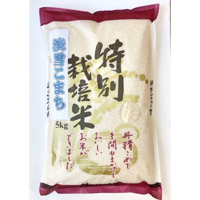 米 お米 新米 10kg 淡雪こまち (5kg×2) 減農薬 減化学肥料栽培 お米マイスター厳選 秋田県産 令和5年産