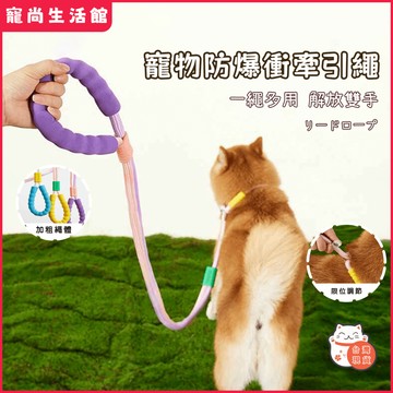 【現貨速發】雙排漸變牽繩💜尼龍反光牽繩 牽繩 寵物牽繩 狗牽繩 牽引繩 狗繩 遛狗繩牽繩大型犬防暴衝牽繩寵物繩狗用品