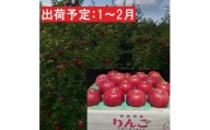 1～2月発送 最高等級「特選」大玉 葉とらず サンふじ 約5kg・糖度14度以上 