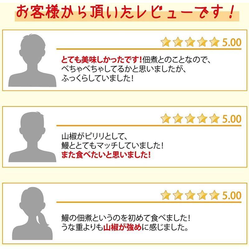 あゆの店きむら 国産 うなぎ 山椒煮 60g 2個入 詰め合わせ   2UN