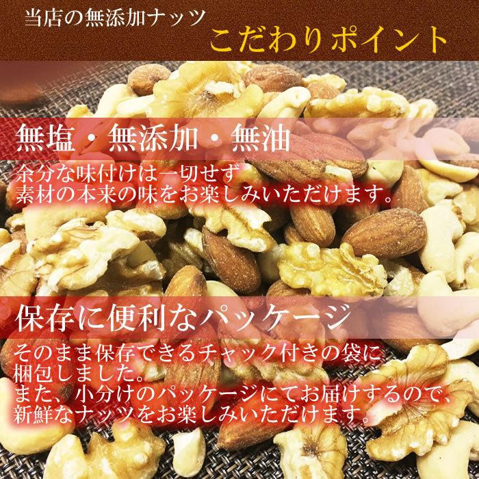 無添加 素焼きカシューナッツ 100g 無塩 無油