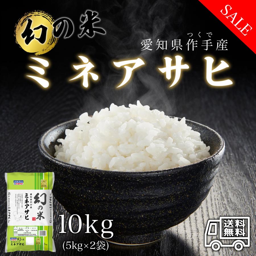 米 お米 10kg 愛知県産 ミネアサヒ 白米 10キロ 令和5年産 5kgx2袋 精米 送料無料