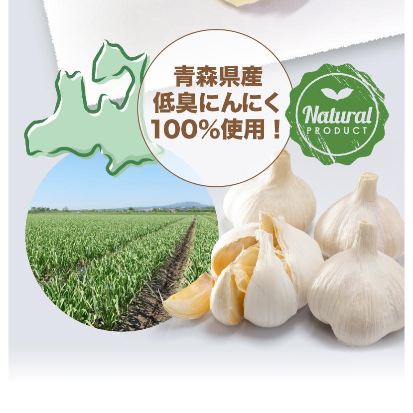 青森県産 にんにくスライス 15g x 5袋 乾燥 低臭にんにく使用 便利なチャック袋入り メール便 送料無料 万能 料理に大活躍