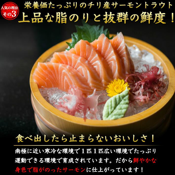 鱒いくら 醤油漬け 250g お刺身とろサーモン 半身 約800g 誕生日 ギフト 限定