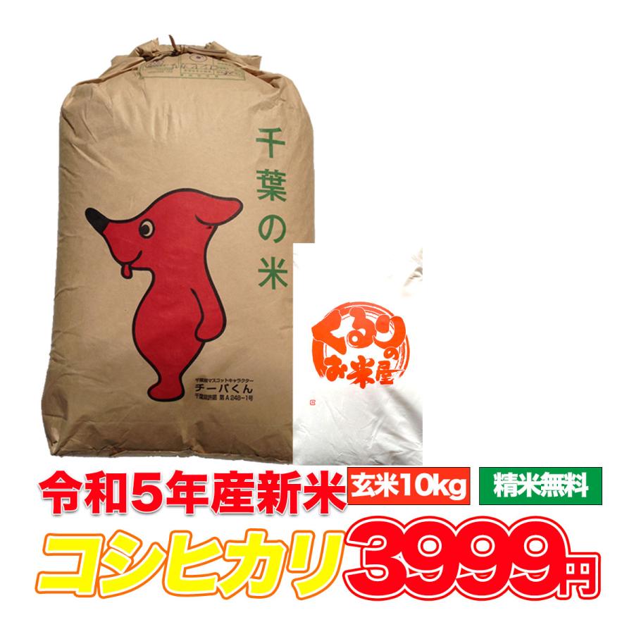 新米 令和5年産 米 10kg お米 コシヒカリ 玄米食でも安心の選別済 玄米 白米 8.8kg 精米 コメ 千葉県産 精米無料 送料無料