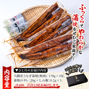 2182 大隅特産うなぎ蒲焼 3尾（510g）