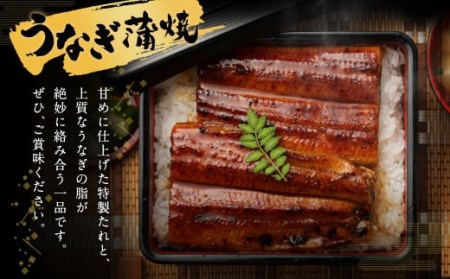 鰻天屋の 九州産 うなぎ 蒲焼 約140g×2尾 セット