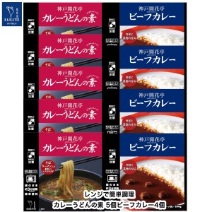 レトルト食品 詰め合わせ カレーうどんの素 レトルトカレー 9食入 レトルト おかず 惣菜 食品 セット 神戸開花亭 常温保存 のし・包装不