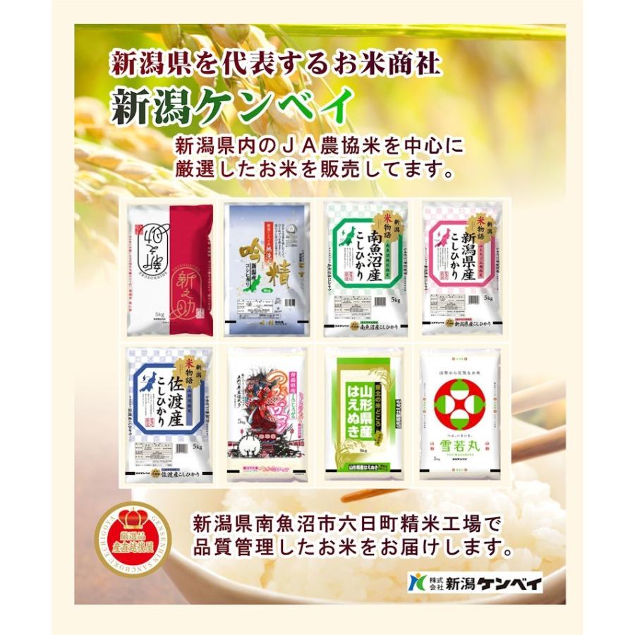 令和５年産 新米新潟県産 コシヒカリ 新潟県産 JAえちご上越 コシヒカリ20kg 産地限定 新潟ケンベイ産 送料無料