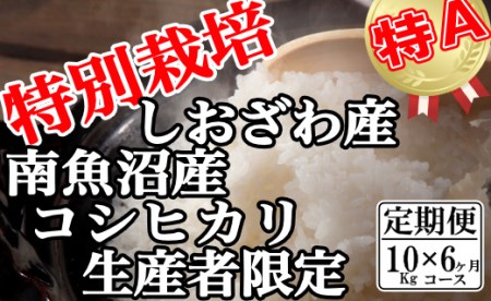 特別栽培 生産者限定  南魚沼しおざわ産コシヒカリ