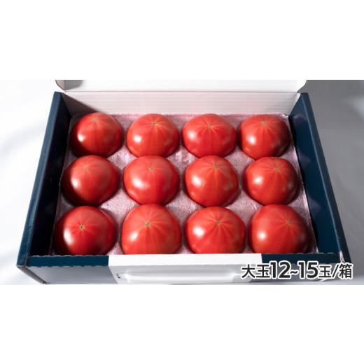 ふるさと納税 茨城県 筑西市  てるて姫 中箱 約1.2kg × 1箱  糖度9度 以上 スーパーフルーツトマト 野菜 フルーツトマト フル…