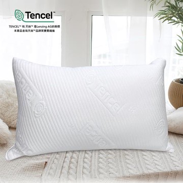 Indian  天絲超柔透氣抗菌枕-台灣製(1顆)