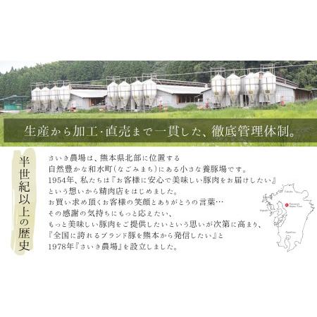 ふるさと納税 火の本豚 ボロニアソーセージ（500ｇ×6本セット） 熊本県和水町