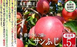 りんご サンふじ 家庭用 5kg 沖縄県への配送不可 2023年12月中旬から2024年2月上旬まで順次発送予定 令和5年度収穫分 静谷りんご園 減農薬栽培 信州の環境にやさしい農産物認証 長野県 飯綱町 [0876]