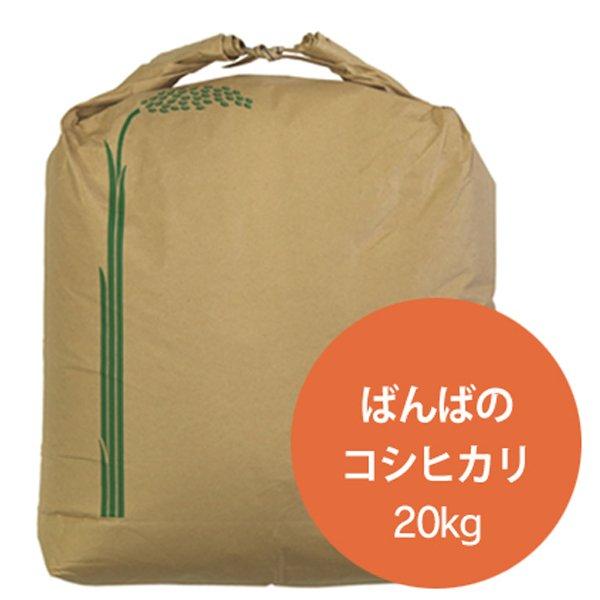 新米 令和5年  2023年産 石川県産 ばんばのこしひかり 玄米20kg コシヒカリ 一等米 産地直送