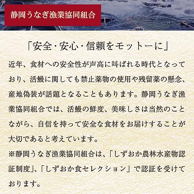 成城石井バイヤーセレクト！静岡うなぎ漁業協同組合 静岡県産うなぎ長蒲焼 3尾セット(1尾約120g×3パック)   今月のおすすめ