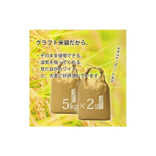 ふるさと納税 福岡県 大川市 福岡県産元気つくし夢つくしの食べ比べ 各5kg×2袋 10kg [白米]