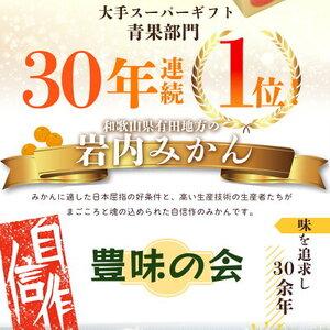 ふるさと納税 AU6103_自信作 有田みかん 10kg  和歌山県湯浅町