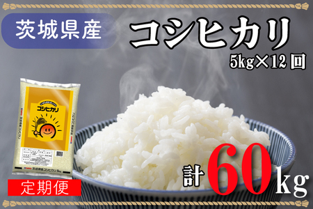 AL016　超便利！お米定期便 茨城県産コシヒカリ計60kg（5kg×12回分）