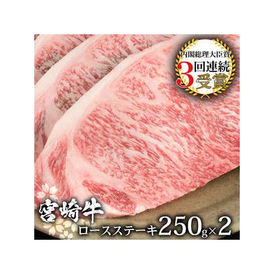 ふるさと納税 椎葉村 受賞歴多数!! 宮崎牛 ロースステーキ 250g×2