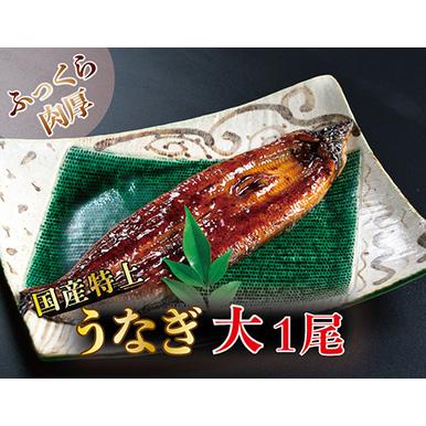 ふるさと納税 国産！特上うなぎのかば焼き 約200g × 1尾 福井県越前市