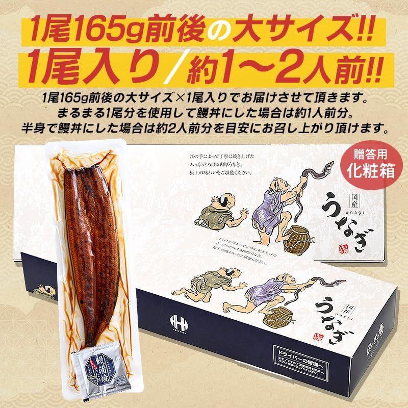 うなぎ 鰻 蒲焼き 国産 鰻の蒲焼 うなぎ蒲焼 宮崎県産 大サイズ 165g前後×1尾 山椒付き鰻蒲焼のタレ×1袋 宮崎 お中元 ギフト 人