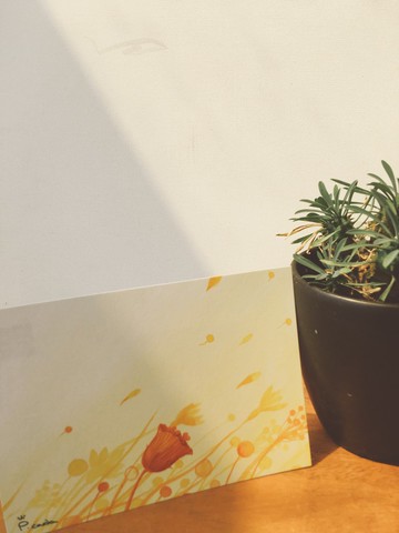 故事明信片-單色鳥系列-有風有陽光的探險