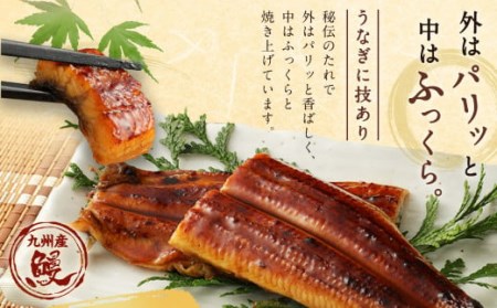 鰻天屋の 九州産 うなぎ 蒲焼 約140g×2尾 セット