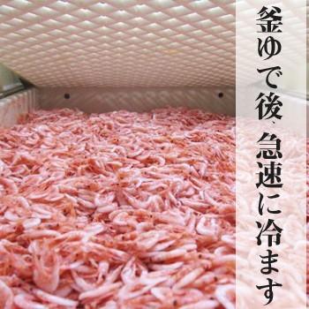 釜あげ桜エビ250g｜静岡県由比産｜製造元自社から発送｜