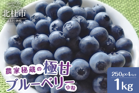 7月～9月発送！農家秘蔵の極甘ブルーベリー　中粒1kg（250g×4パック）