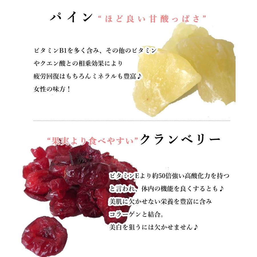 大地の生菓 ドライフルーツ 6種類のプレミアムミックス 500g 送料無料 オレンジ キウイ あんず レモン パイン クリスマス ギフト プレゼント 2023