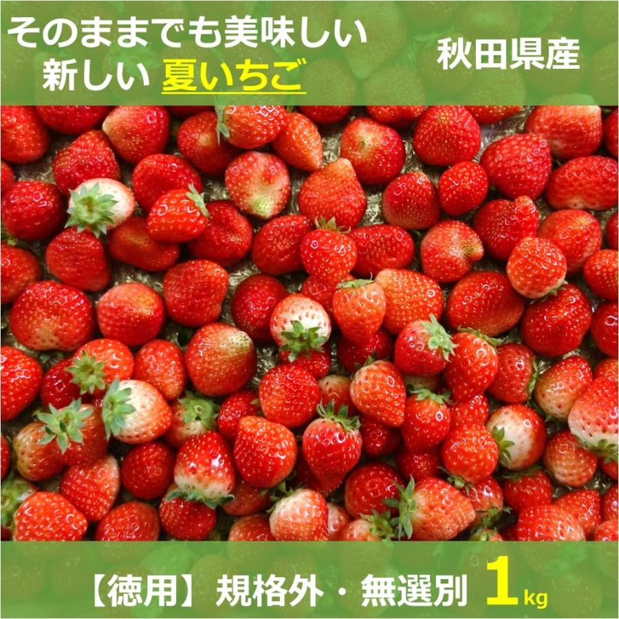 6月〜11月発送 良食味の新しい夏秋イチゴ 無選別 規格外 全サイズ混合 バラ詰め 1kg 秋田県産 なつあかり ご自宅用 ジャム・ソース用