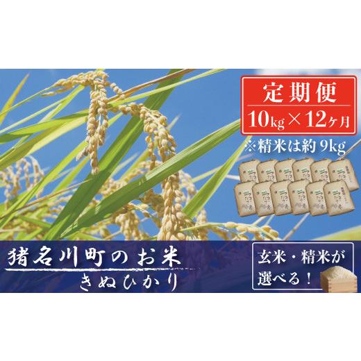 ふるさと納税 兵庫県 猪名川町 猪名川町のお米（キヌヒカリ）※精米※毎月配送