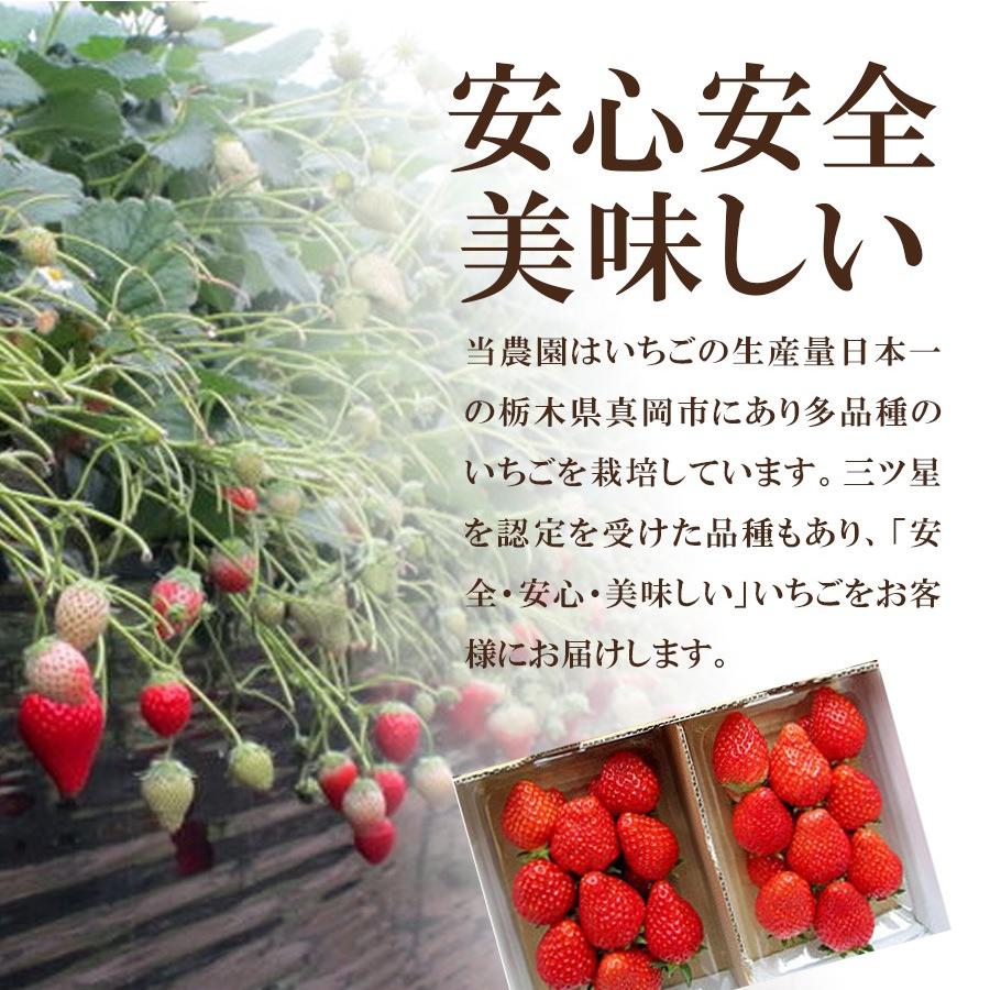 いちご とちあいか フルーツ Fruits 完熟いちご 栃木県真岡産 送料無料 産地直送 4パック入り 1パック約280g×4