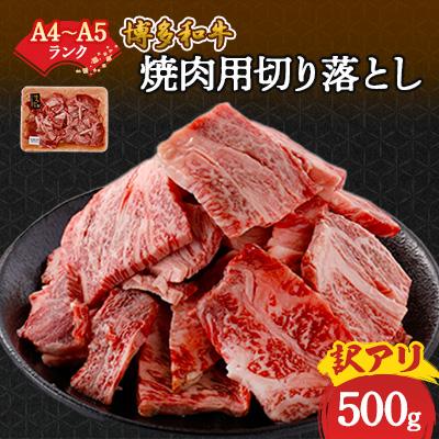 ふるさと納税 大野城市 訳あり!博多和牛焼肉切り落とし(肩ロース・バラ)　500g