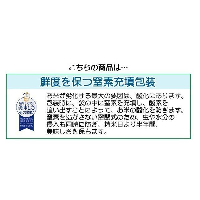 ポイント5倍 新米 無洗米 北海道ゆめぴりか 2合(300g)×3袋 メール便送料込み 令和5年産 米  特A（SL）