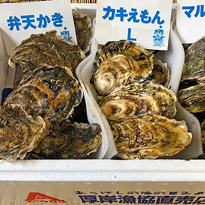 北海道厚岸産食べ比べセット